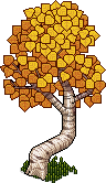 Bendy Huş Ağacı