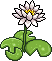 br_c25_lilies name