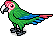 br_c25_parrot3 name