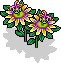 br_c25_passionflower2 name