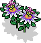 br_c25_passionflower name