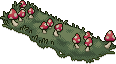 hween_c25_bedofmushrooms name