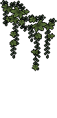 hween_c25_weed3 name