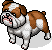 İngiliz Bulldog